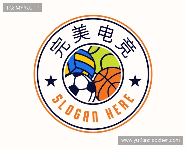 关于完美电竞